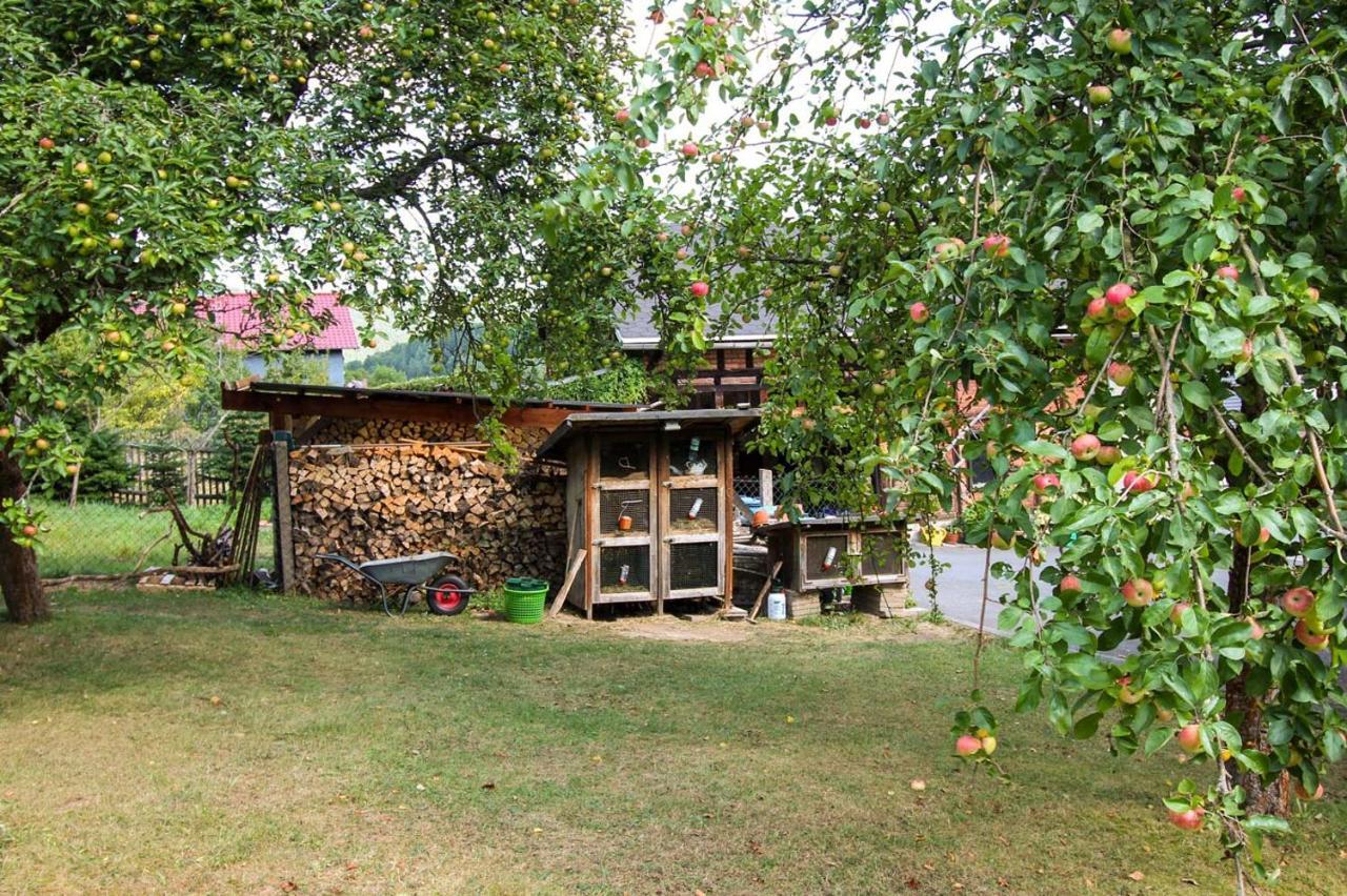 Haus Sonnenwalde - Familie Ruhe Hotel Rohrbach  Kültér fotó
